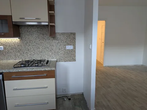 Pohled z kuchyňského koutu do pokoje